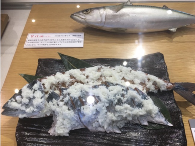 御食国小浜を象徴する鯖