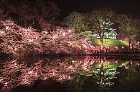 高田城百万人観桜会の見事な夜桜