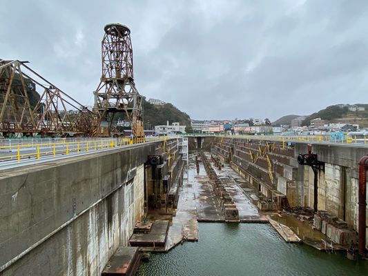 写真①横須賀赤レンガドックの全景